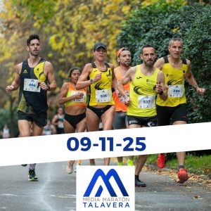 media talavera